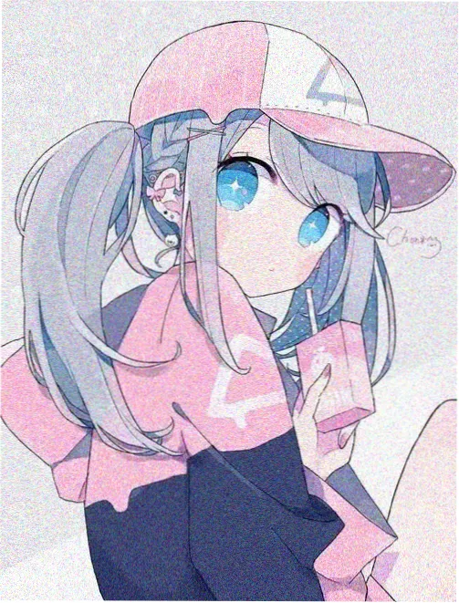 WLS-320 无轴螺旋输送机叶片与耐磨衬板